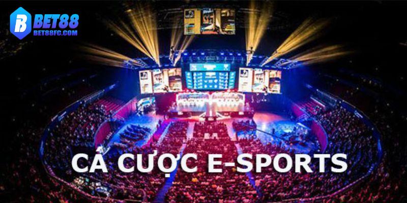 Kiên nhẫn học hỏi- mẹo cược Esports hiệu quả nhất